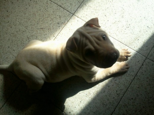Lo dicho, le encanta el sol... Lo dicho, le encanta el sol...